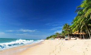 DỊch vụ cho thuê xe uy tín tại Mũi Né